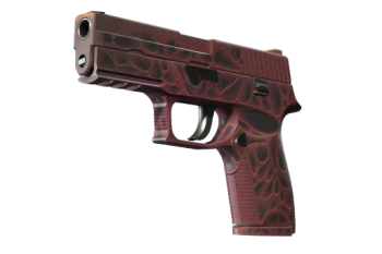 P250 | Contaminant