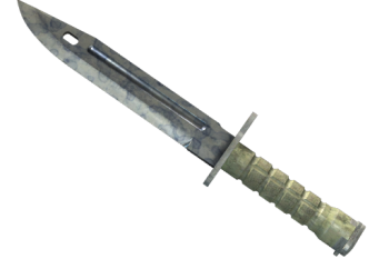 ★ Bayonet | Stained