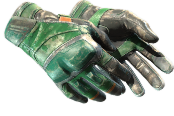 ★ Moto Gloves | Turtle
