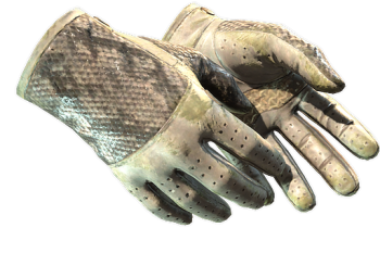 ★ Driver Gloves | King Snake