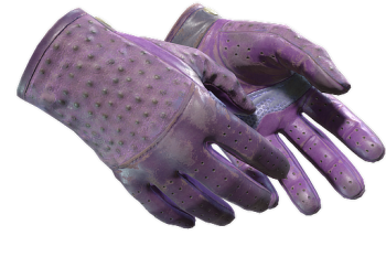 ★ Driver Gloves | Plum Quill