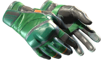 ★ Moto Gloves | Turtle