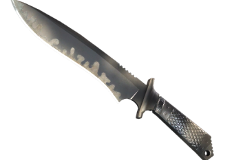★ Classic Knife | Scorched