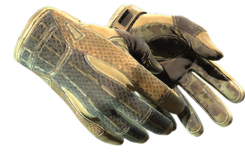 ★ Sport Gloves | Arid