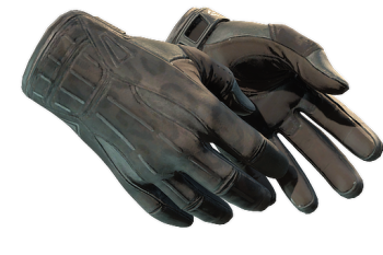 ★ Sport Gloves | Nocts
