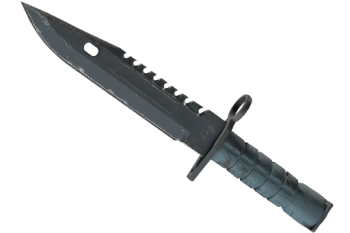 ★ M9 Bayonet | Night