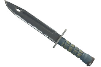★ Bayonet | Night